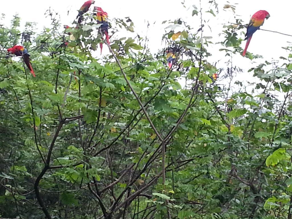 Auto Hotel Paraiso Inn Palenque Luaran gambar